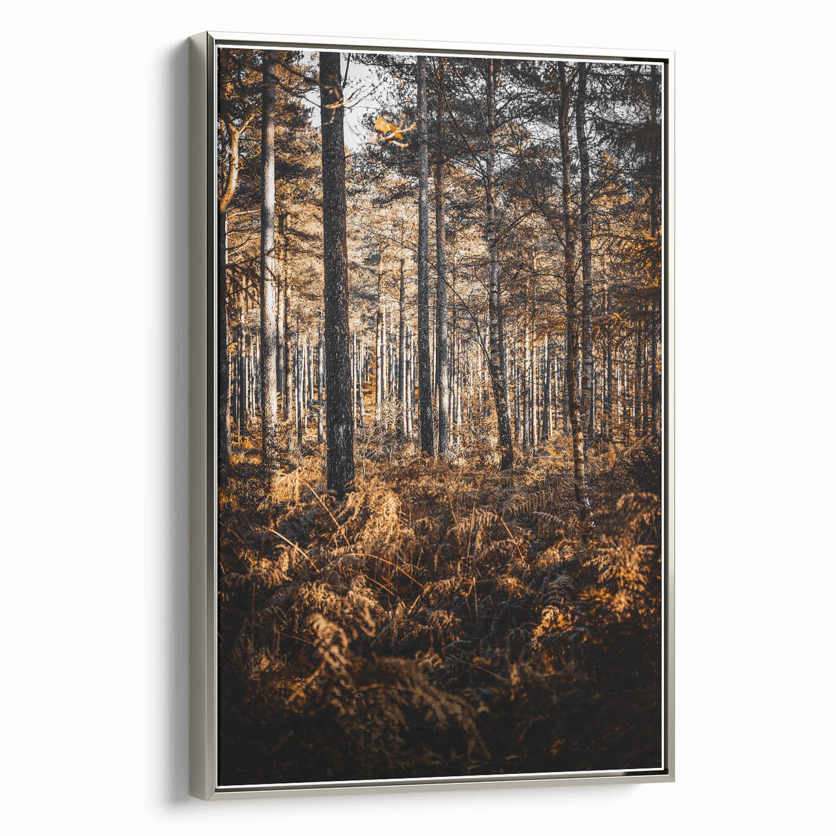 Rustic Autumn Forest Wall Art – Nature-Inspired Farmhouse Landscape Decor