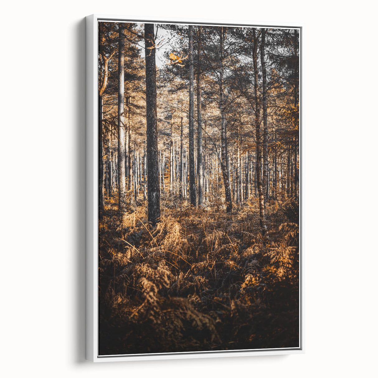 Rustic Autumn Forest Wall Art – Nature-Inspired Farmhouse Landscape Decor