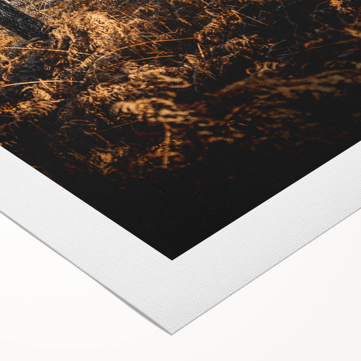Rustic Autumn Forest Wall Art – Nature-Inspired Farmhouse Landscape Decor