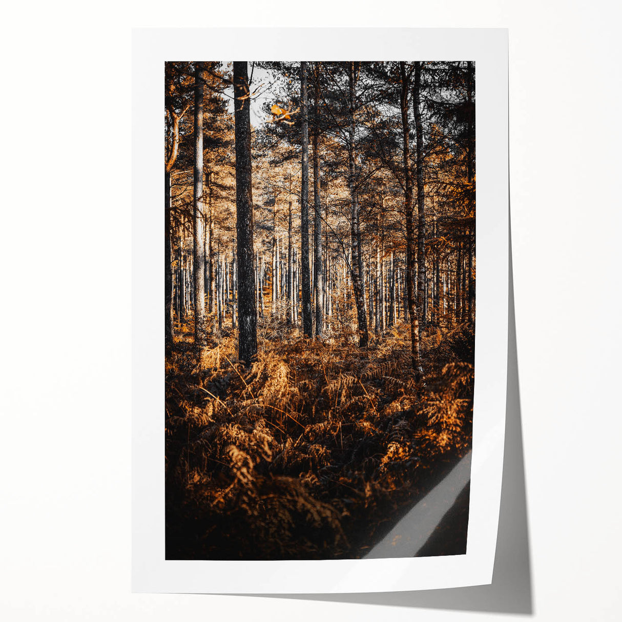 Rustic Autumn Forest Wall Art – Nature-Inspired Farmhouse Landscape Decor