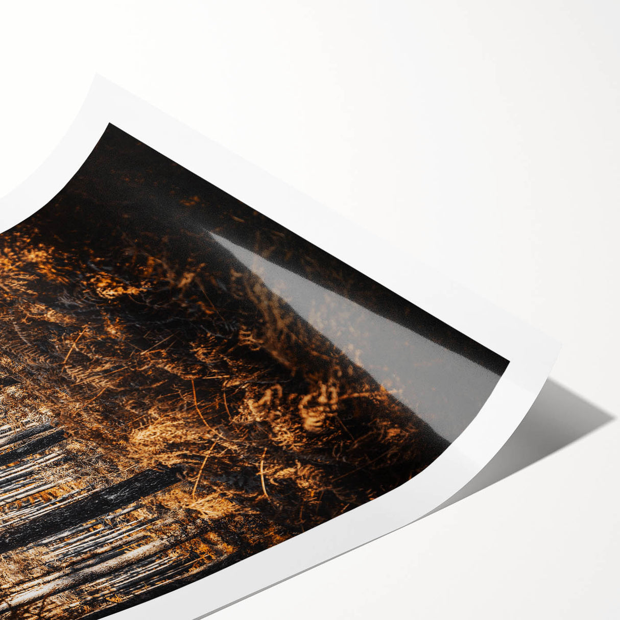 Rustic Autumn Forest Wall Art – Nature-Inspired Farmhouse Landscape Decor