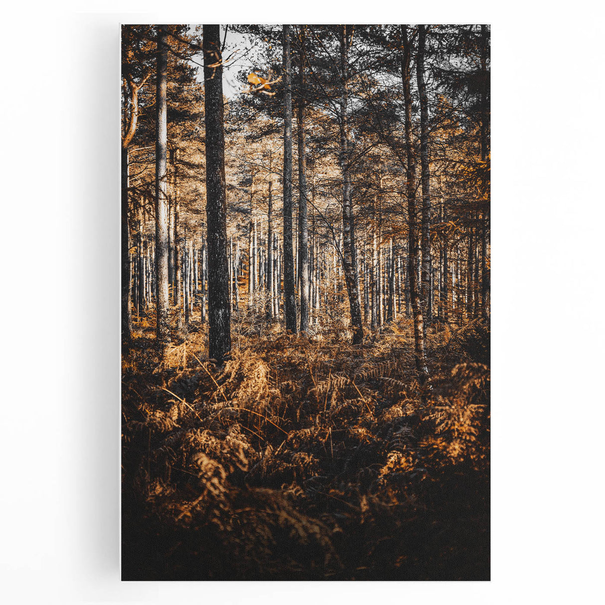 Rustic Autumn Forest Wall Art – Nature-Inspired Farmhouse Landscape Decor