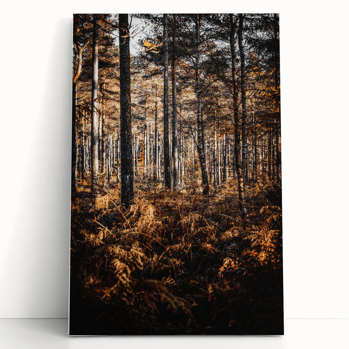 Rustic Autumn Forest Wall Art – Nature-Inspired Farmhouse Landscape Decor