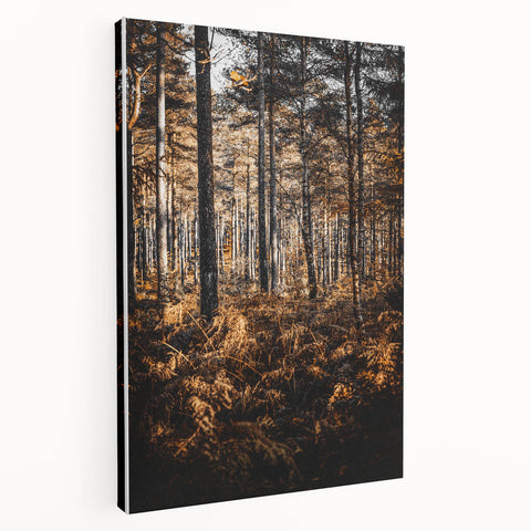 Rustic Autumn Forest Wall Art – Nature-Inspired Farmhouse Landscape Decor