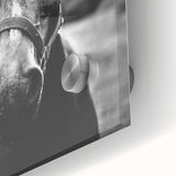 Black and White Horse Portrait – Rustic Farmhouse Wall Art Decor