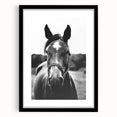 Black and White Horse Portrait – Rustic Farmhouse Wall Art Decor