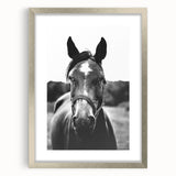 Black and White Horse Portrait – Rustic Farmhouse Wall Art Decor