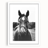 Black and White Horse Portrait – Rustic Farmhouse Wall Art Decor