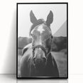 Black and White Horse Portrait – Rustic Farmhouse Wall Art Decor