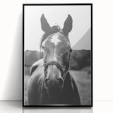 Black and White Horse Portrait – Rustic Farmhouse Wall Art Decor