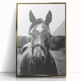 Black and White Horse Portrait – Rustic Farmhouse Wall Art Decor