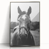 Black and White Horse Portrait – Rustic Farmhouse Wall Art Decor
