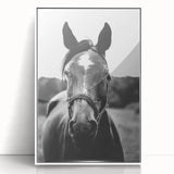 Black and White Horse Portrait – Rustic Farmhouse Wall Art Decor