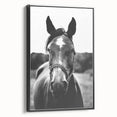 Black and White Horse Portrait – Rustic Farmhouse Wall Art Decor