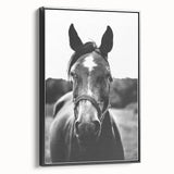 Black and White Horse Portrait – Rustic Farmhouse Wall Art Decor