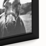 Black and White Horse Portrait – Rustic Farmhouse Wall Art Decor