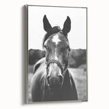 Black and White Horse Portrait – Rustic Farmhouse Wall Art Decor
