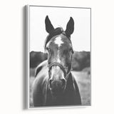Black and White Horse Portrait – Rustic Farmhouse Wall Art Decor
