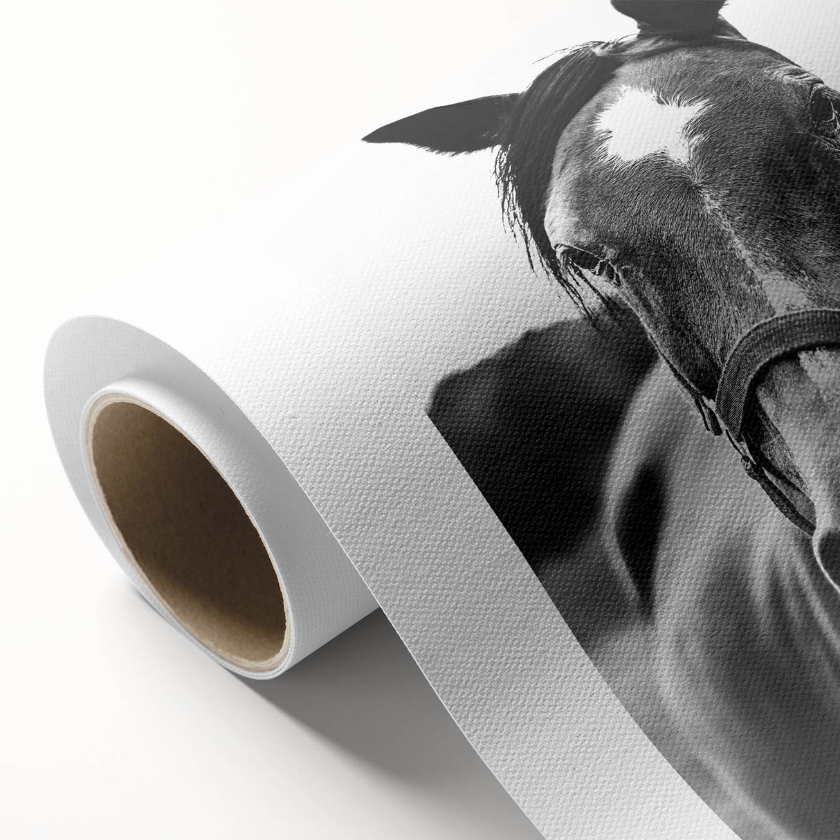 Black and White Horse Portrait – Rustic Farmhouse Wall Art Decor