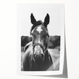 Black and White Horse Portrait – Rustic Farmhouse Wall Art Decor