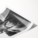 Black and White Horse Portrait – Rustic Farmhouse Wall Art Decor