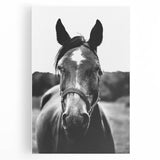 Black and White Horse Portrait – Rustic Farmhouse Wall Art Decor
