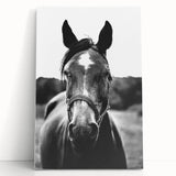 Black and White Horse Portrait – Rustic Farmhouse Wall Art Decor