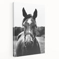 Black and White Horse Portrait – Rustic Farmhouse Wall Art Decor