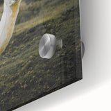 Llama Rustic Wall Art – Farmhouse Animal Decor with Nature’s Charm