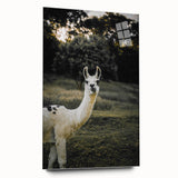 Llama Rustic Wall Art – Farmhouse Animal Decor with Nature’s Charm
