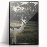 Llama Rustic Wall Art – Farmhouse Animal Decor with Nature’s Charm