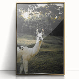 Llama Rustic Wall Art – Farmhouse Animal Decor with Nature’s Charm