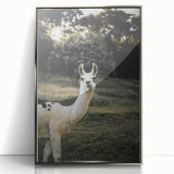 Llama Rustic Wall Art – Farmhouse Animal Decor with Nature’s Charm