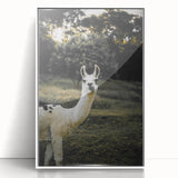 Llama Rustic Wall Art – Farmhouse Animal Decor with Nature’s Charm