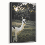 Llama Rustic Wall Art – Farmhouse Animal Decor with Nature’s Charm