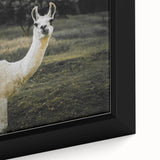 Llama Rustic Wall Art – Farmhouse Animal Decor with Nature’s Charm