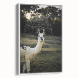 Llama Rustic Wall Art – Farmhouse Animal Decor with Nature’s Charm