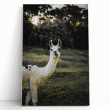 Llama Rustic Wall Art – Farmhouse Animal Decor with Nature’s Charm