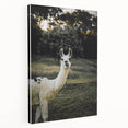 Llama Rustic Wall Art – Farmhouse Animal Decor with Nature’s Charm