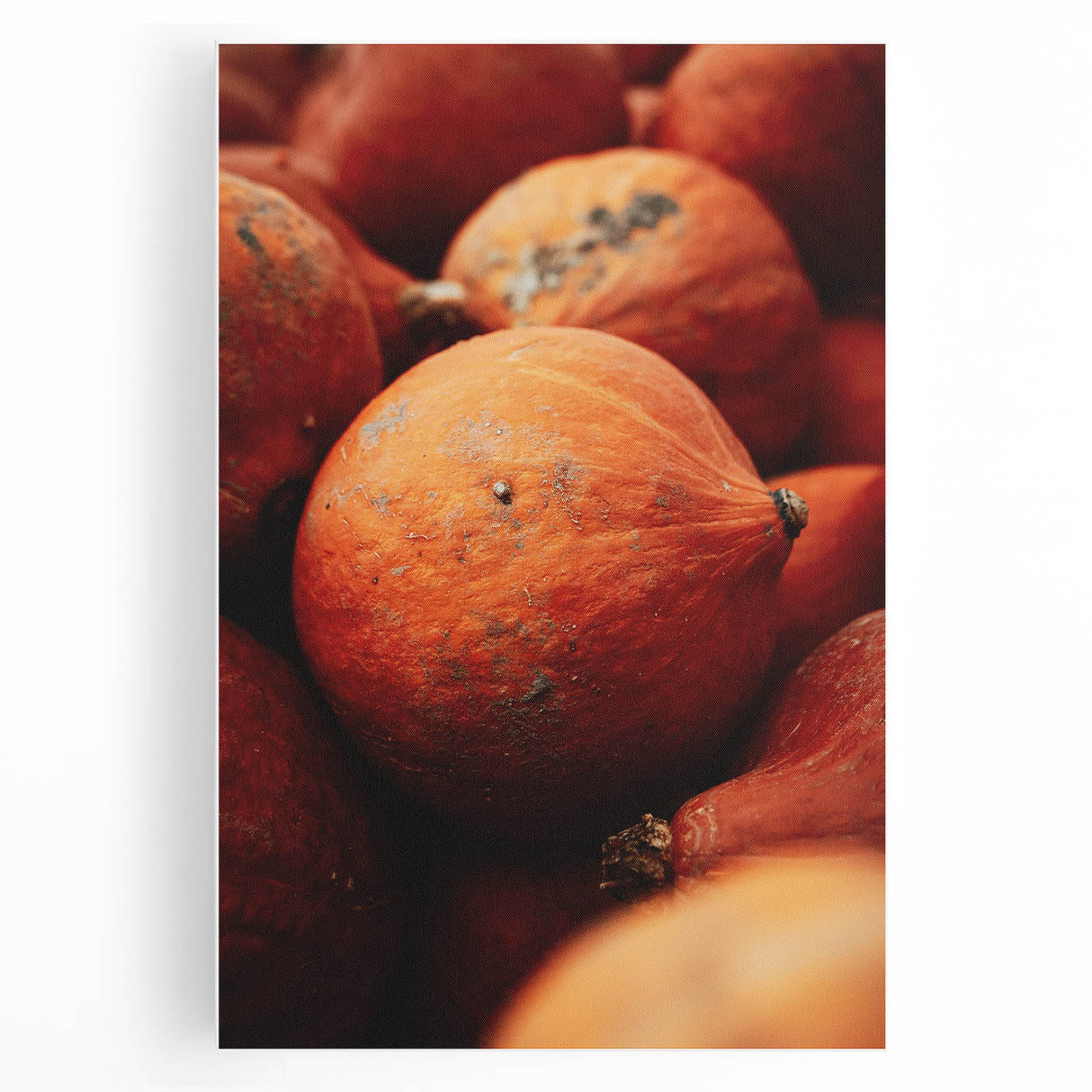 Rustic Pumpkin Harvest Wall Art – Farmhouse Decor with Autumn Charm