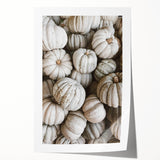 Rustic White Pumpkin Wall Art – Farmhouse Decor with Autumn Charm