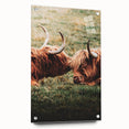 Highland Cattle Close-up Art, Rustic Farmhouse Wall Decor