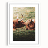 Highland Cattle Close-up Art, Rustic Farmhouse Wall Decor