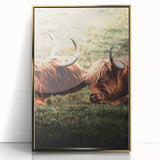 Highland Cattle Close-up Art, Rustic Farmhouse Wall Decor