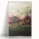 Highland Cattle Close-up Art, Rustic Farmhouse Wall Decor