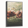 Highland Cattle Close-up Art, Rustic Farmhouse Wall Decor