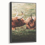 Highland Cattle Close-up Art, Rustic Farmhouse Wall Decor