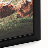 Highland Cattle Close-up Art, Rustic Farmhouse Wall Decor