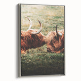 Highland Cattle Close-up Art, Rustic Farmhouse Wall Decor
