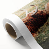 Highland Cattle Close-up Art, Rustic Farmhouse Wall Decor